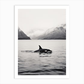 Vintage Black And White Orca Whale Photography Art Print