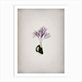 Vintage Autumn Crocus Botanical on Parchment n.0165 Art Print