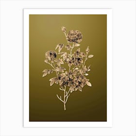 Gold Botanical Burgundy Cabbage Rose on Dune Yellow n.3650 Art Print