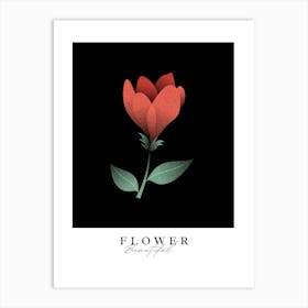 Flower Beautiful Art Print