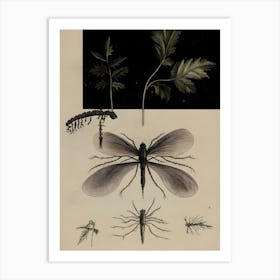 Dark Gothic Flies And Insects Art Print