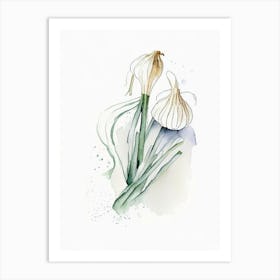 Garlic Herb Minimalist Watercolour 3 Art Print
