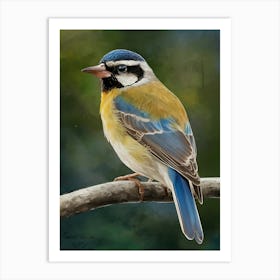 Blue Tit 1 Art Print