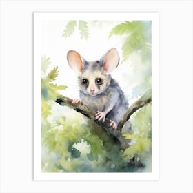 Light Watercolor Painting Of A Common Brushtail Possum 2 Art Print