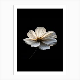 White Flower 12 Art Print