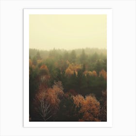Foggy Autumn Forest 1 Art Print