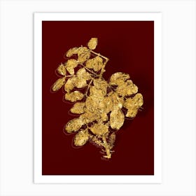 Vintage Carob Tree Botanical in Gold on Red n.0598 Art Print