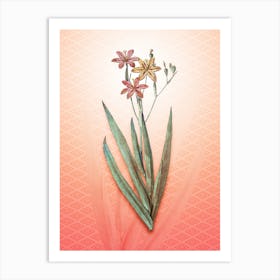 Blackberry Lily Vintage Botanical in Peach Fuzz Hishi Diamond Pattern n.0015 Art Print
