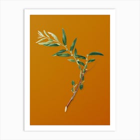 Vintage Jujube Botanical on Sunset Orange n.0084 Art Print