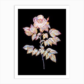 Stained Glass Leschenault's Rose Mosaic Botanical Illustration on Black n.0191 Art Print