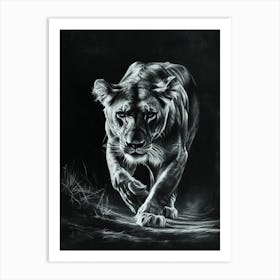 African Lion Charcoal Drawing Lioness On The Prowl 3 Art Print