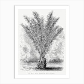 Vintage Palm Tree Art Print _2643195 Art Print