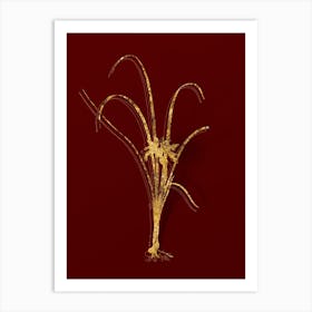 Vintage Grass Leaved Iris Botanical in Gold on Red n.0548 Art Print