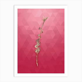 Vintage Peach Flower Botanical in Gold on Viva Magenta n.0438 Art Print