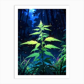 Marijuana Plant In The Forest Affiche