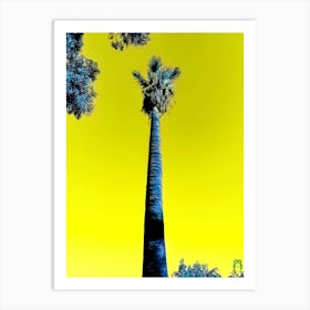 Palm Tree 202309231740190rt1pub Art Print