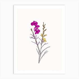 Nemesia Floral Minimal Line Drawing 2 Flower Art Print