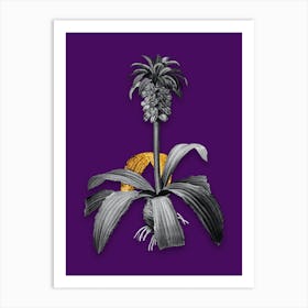 Vintage Eucomis Regia Black and White Gold Leaf Floral Art on Deep Violet n.0669 Art Print