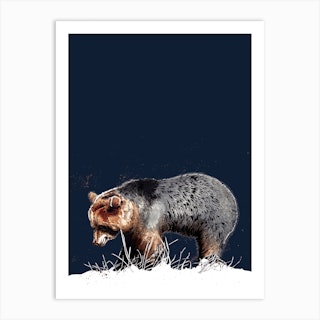 The Bear On Midnight Blue Art Print