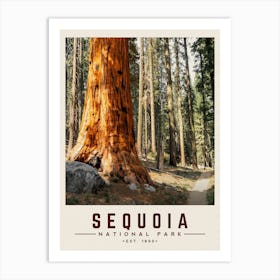 Sequoia Minimalist Travel Poster Art Print