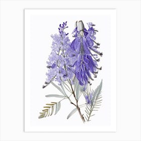 Jacaranda Floral Quentin Blake Inspired Illustration 3 Flower Art Print