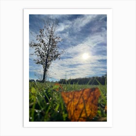 Autumn Leaves On The Grass Art Print