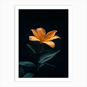 Orange Lily 3 Art Print