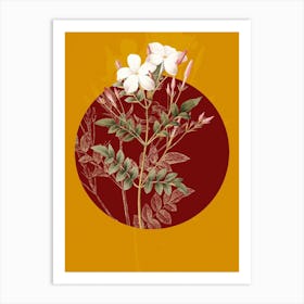 Vintage Botanical Spanish Jasmine Jasminum Grandiflorum on Circle Red on Yellow n.0261 Art Print