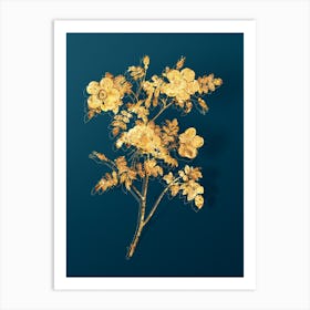 Vintage White Candolle's Rose Botanical in Gold on Teal Blue n.0328 Art Print