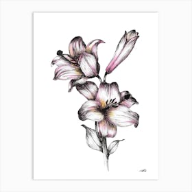 Watercolour Two Flowers and a Bud Art Print