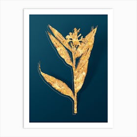 Vintage Globba Erecta Botanical in Gold on Teal Blue n.0356 Art Print
