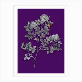 Vintage Rose Corymb Black and White Gold Leaf Floral Art on Deep Violet n.0973 Art Print