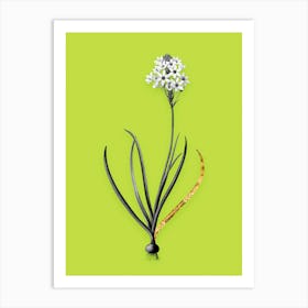 Vintage Arabian Starflower Black and White Gold Leaf Floral Art on Chartreuse n.0289 Art Print