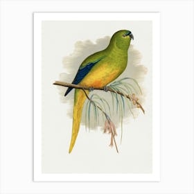 Parrot 10 Art Print