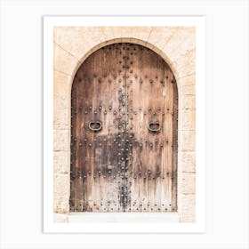 Old Wooden Door 4 Art Print