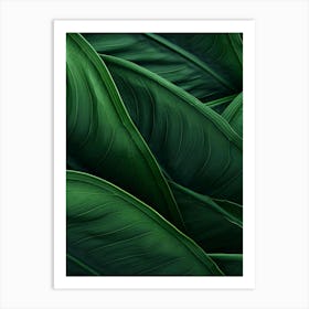 Green Leaves Background Art Print