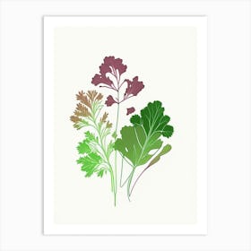 Parsley Spices And Herbs Minimal Line Drawing 2 Art Print