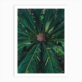 Green Tropicals Ii Art Print