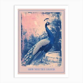 Peacock In The Fountain Pink & Blue Cyanotype Inspired 1 Poster Art Print