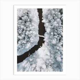 Snowy River Art Print