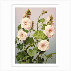 Floral Illustration Hollyhock 1 Art Print