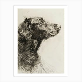 Curly Coated Retriever Dog Charcoal Line 2 Art Print