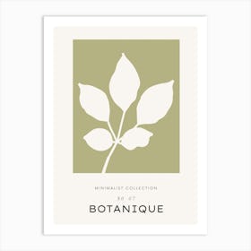 Minimalist Collection By Botanique Art Print