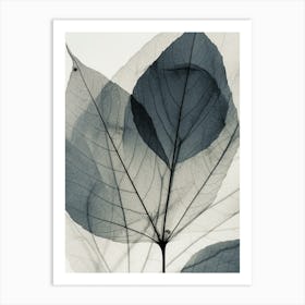 Black White Leaf Image Art Print