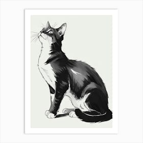 Cat Drawing 5 Art Print