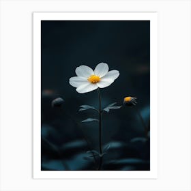 White Flower 19 Art Print