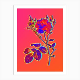 Neon Pink Cumberland Rose Botanical in Hot Pink and Electric Blue n.0503 Art Print