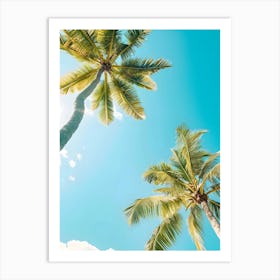 Palm Trees In The Sun Art Print