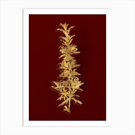 Vintage Rosemary Botanical in Gold on Red n.0177 Art Print