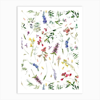 Midsummer  Meadow Art Print